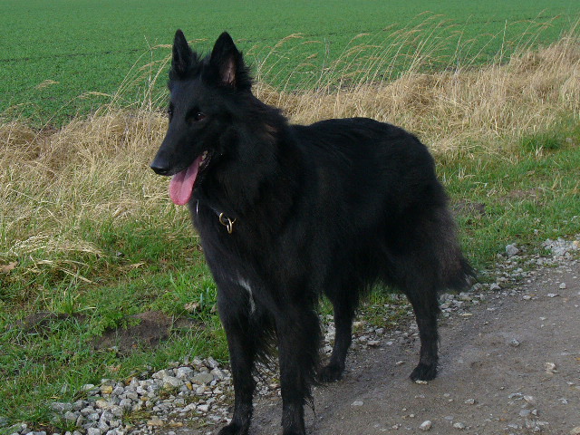 Lamia Deabei,05.2008